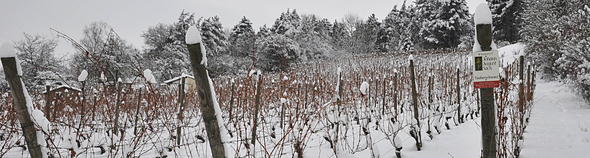 Weingut Johann August Sack - Winter 3